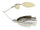 Bluegill flash