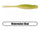 Watermelon Shad