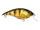 Perch