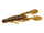 Alabama Craw