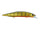 Gold Perch
