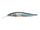 Threadfin Shad