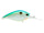 Citrus Shad