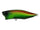 Jewel beetle