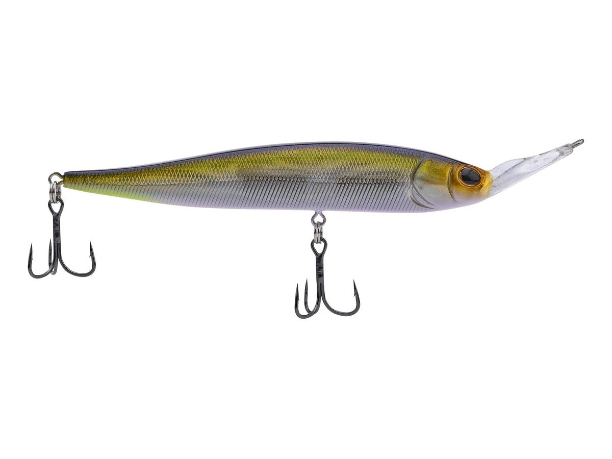 Berkley Krej 100