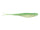 Creole Croaker