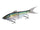 Sexy Shad