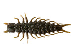 Great Lakes 2.4 Juicy Hellgrammite