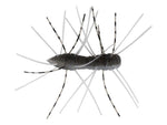 Zman fuzzy Bugz