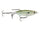 Green Gizzard Shad