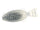 #127 Silver Shad