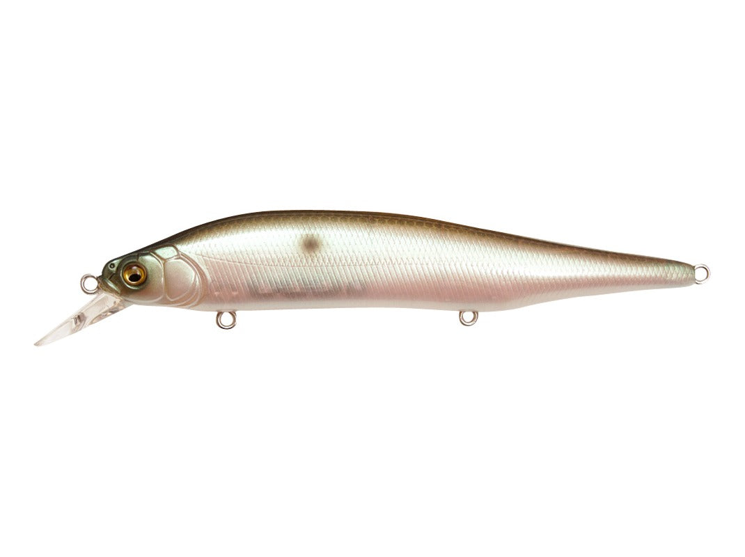 Megabass Ito Shiner