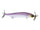 Secret Shad