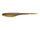 Golden Shiner