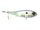 Ghost Sexy Shad