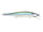 Live Threadfin Shad