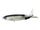 17 phantom shad