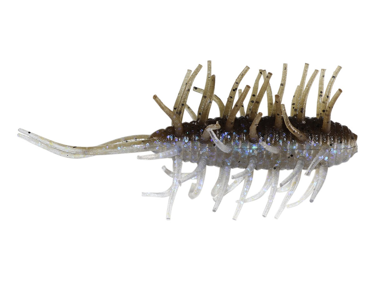Hide up Coike Shrimp