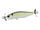 American Shad