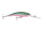 Rainbow Trout Flash