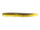 Goby