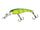 Gold perch