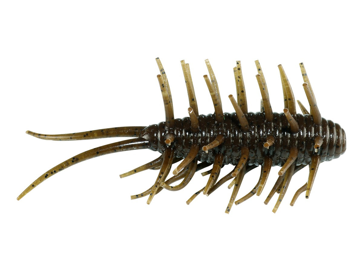 Hide up Coike Shrimp