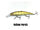 Yellow Perch