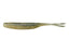 Ss shad