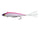 Pink Back Shad
