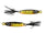 Yellow Perch