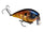 Bluegill