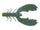 Okochobee Craw