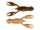 Drew’s Craw