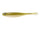 USA natural borealis shad