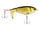 HD Golden Shiner