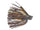 Stealth Craw