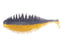Golden Shiner 030