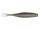 Tennessee Shad 994