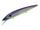 Secret Shad 2