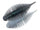 Electric-shad 268