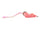 BR619  Pinky