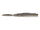 ElectricShad