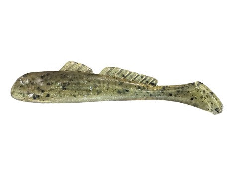 Grumpy Finesse Goby