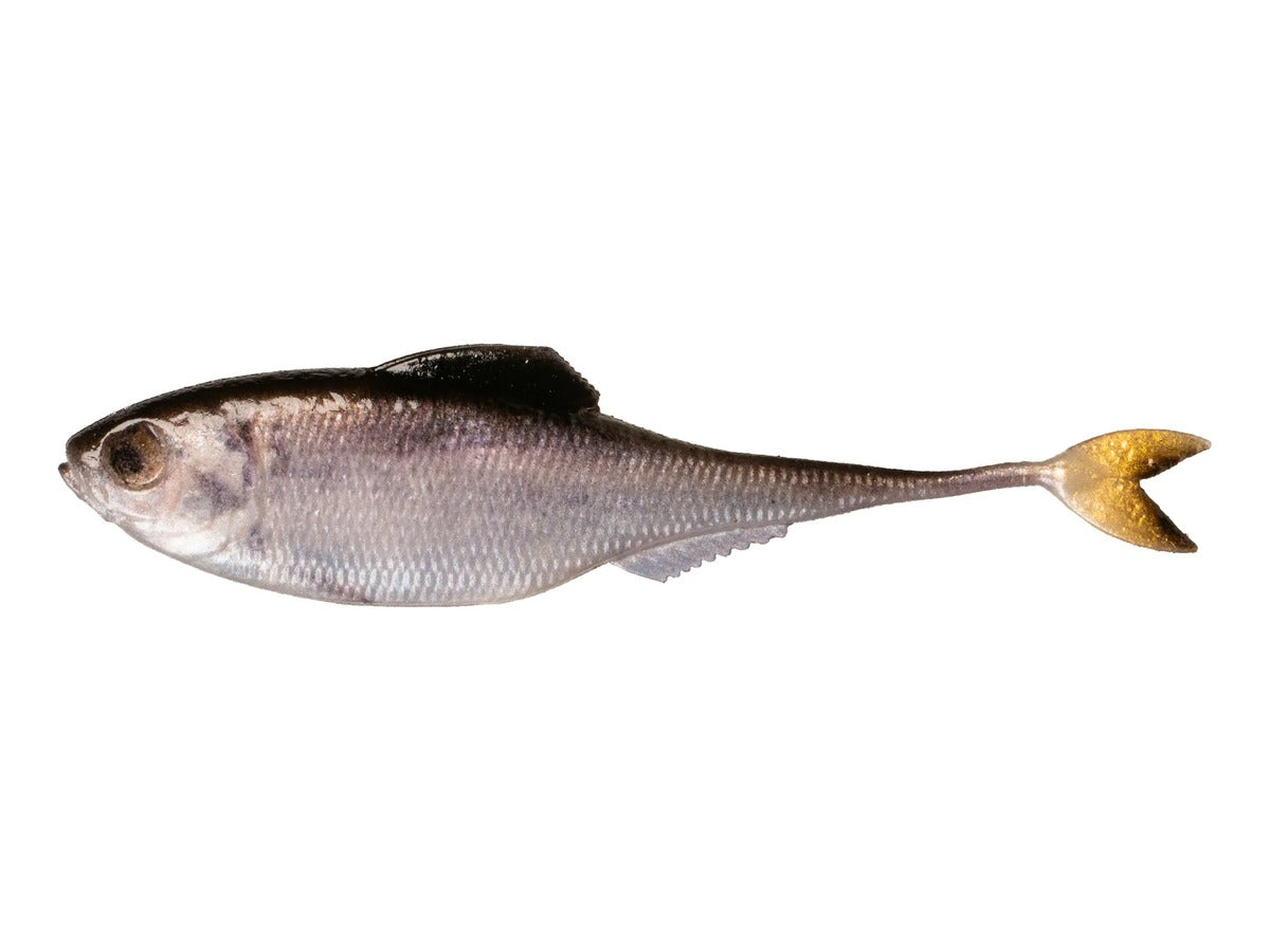 6th Sense Fiction Shad