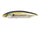 Ht ito Tennessee shad II