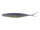 Sexy shad