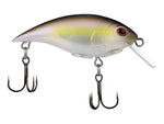 Berkley Shallow Money Badger