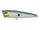 Gizzard Shad