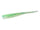 Kibinago green